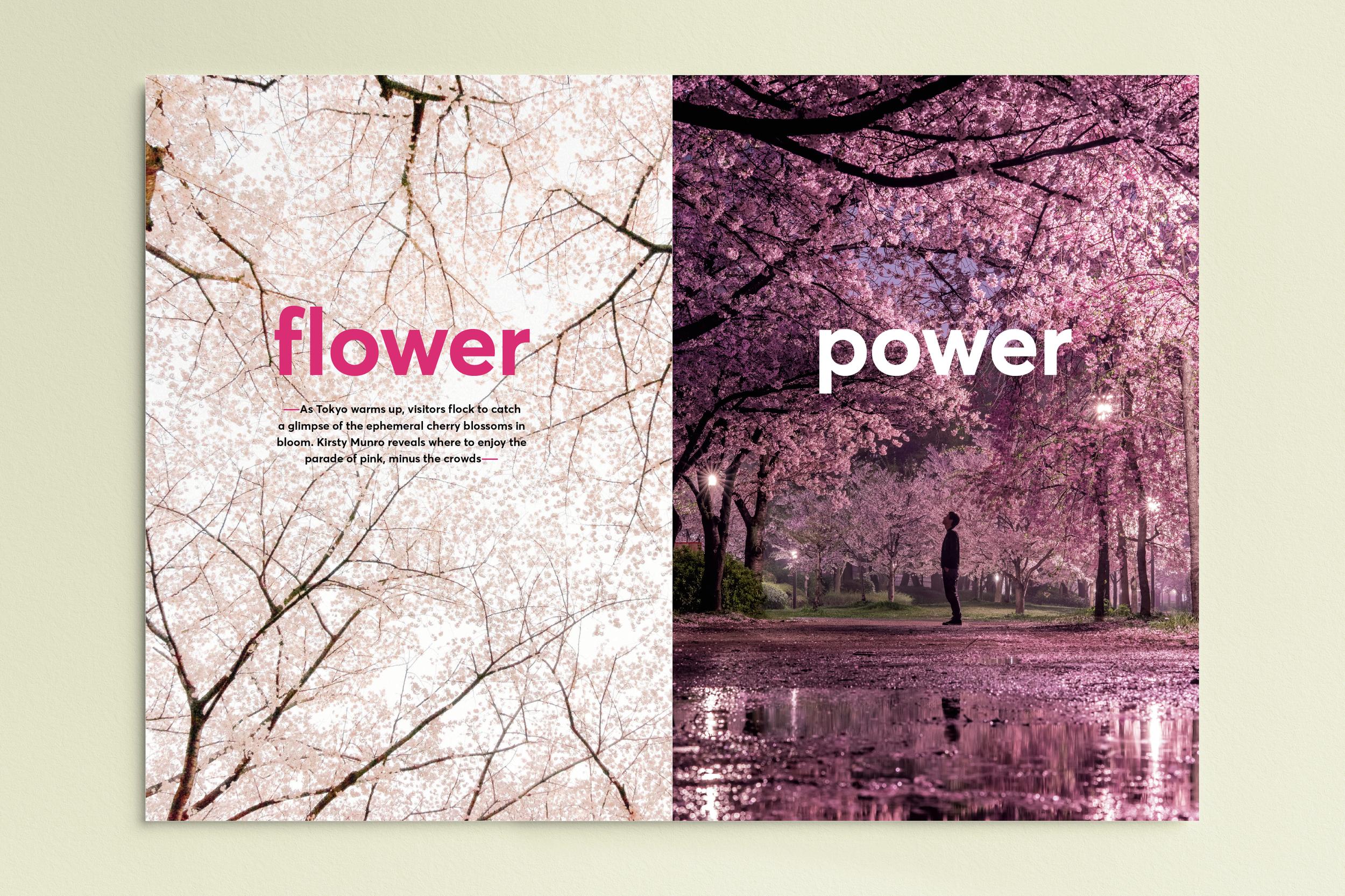Jetstar magazine spread